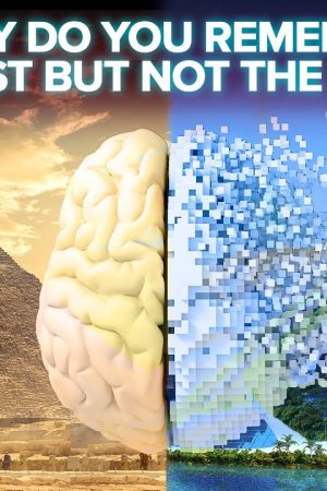Why Do You Remember The Past But Not The Future?