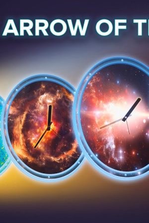 The Arrow of Time and How to Reverse It