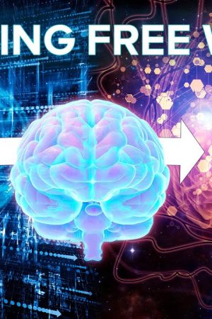 Can Free Will be Saved in a Deterministic Universe?