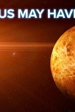 Venus May Have Life!