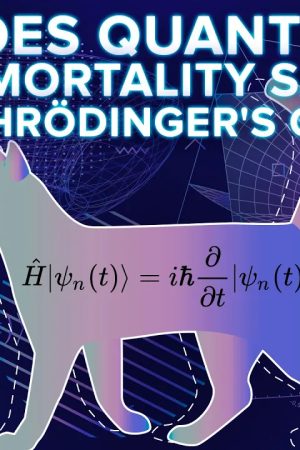 Does Quantum Immortality Save Schrödinger's Cat?
