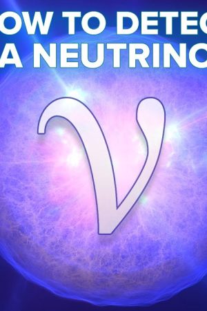 How To Detect a Neutrino