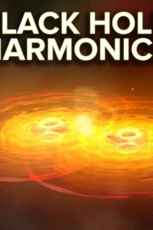 Black Hole Harmonics
