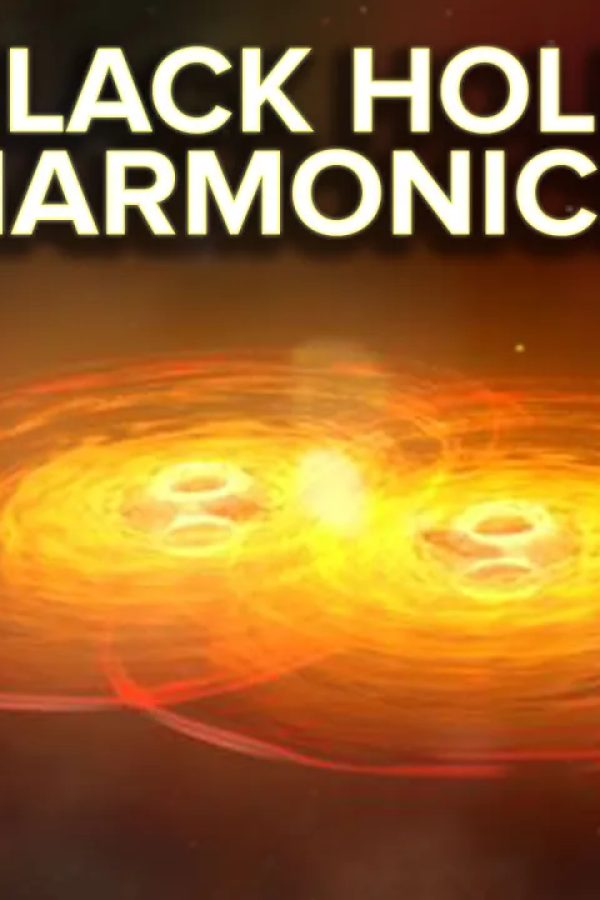 Black Hole Harmonics