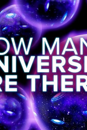 How Many Universes Are There?