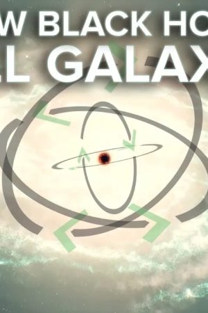How Black Holes Kill Galaxies