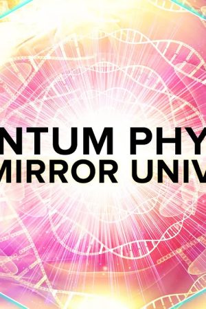 Quantum Physics in a Mirror Universe