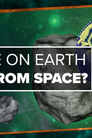 Did Life on Earth Come from Space?