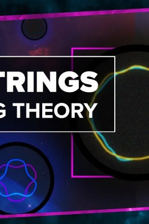 What are the Strings in String Theory?