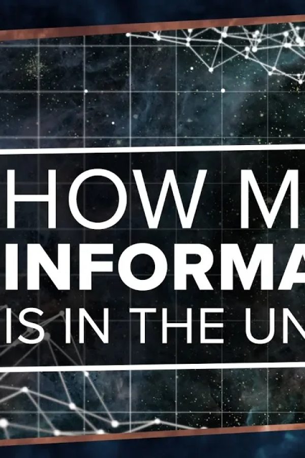How Much Information is in the Universe?