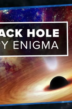 The Black Hole Entropy Enigma