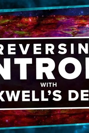Reversing Entropy with Maxwell's Demon