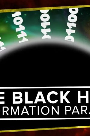 The Black Hole Information Paradox