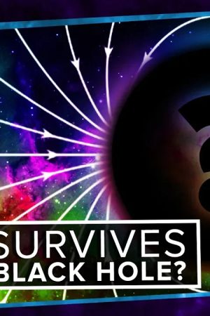 What Survives Inside A Black Hole?