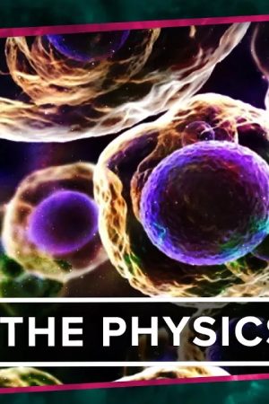 The Physics of Life (ft. It's Okay to be Smart & PBS Eons!)