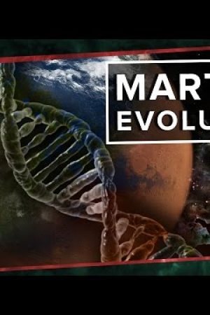 Martian Evolution