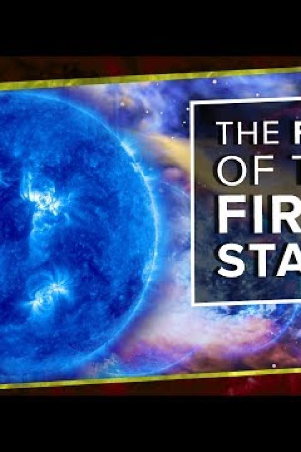 The Fate of the First Stars