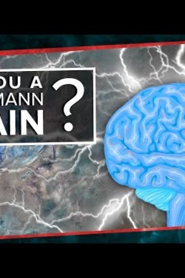 Are You a Boltzmann Brain?