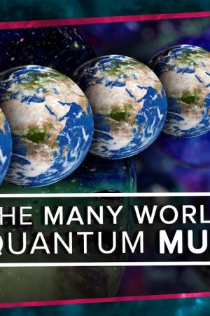 The Many Worlds of the Quantum Multiverse