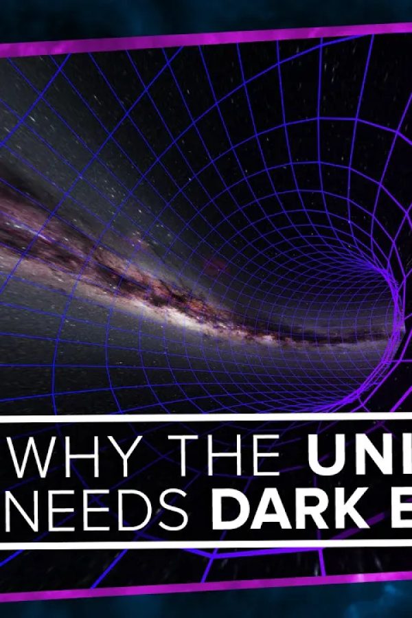 Why the Universe Needs Dark Energy