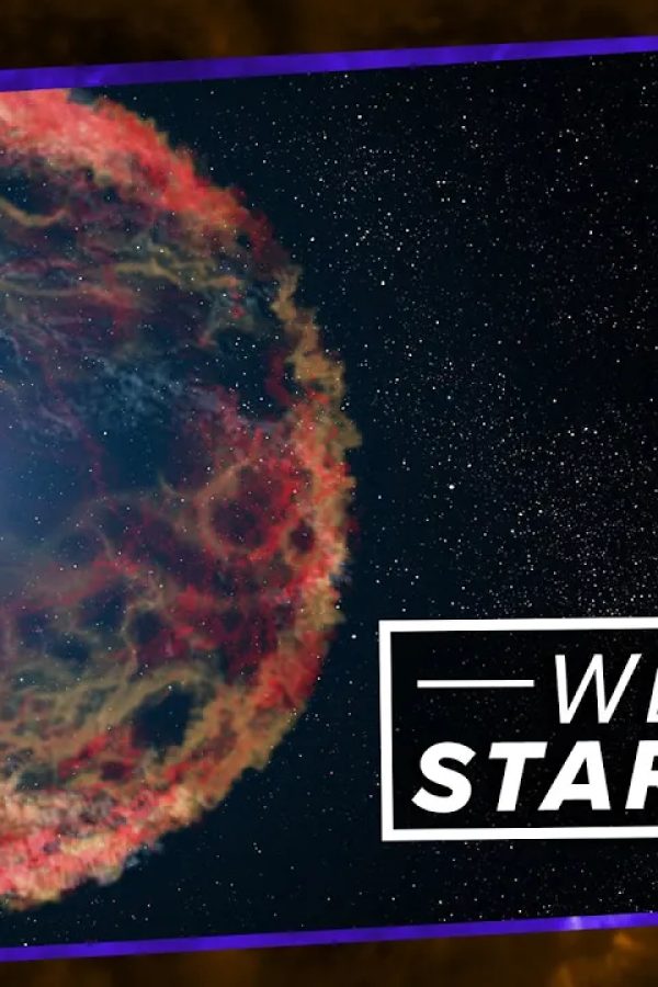 We Are Star Stuff