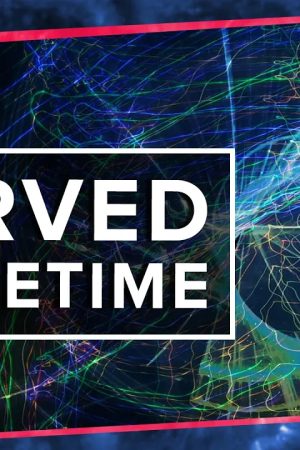 General Relativity & Curved Spacetime Explained! | Space Time | PBS Digital Studios