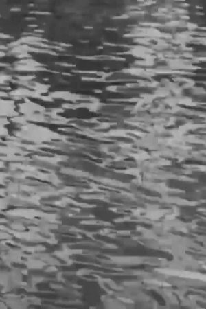 H2O