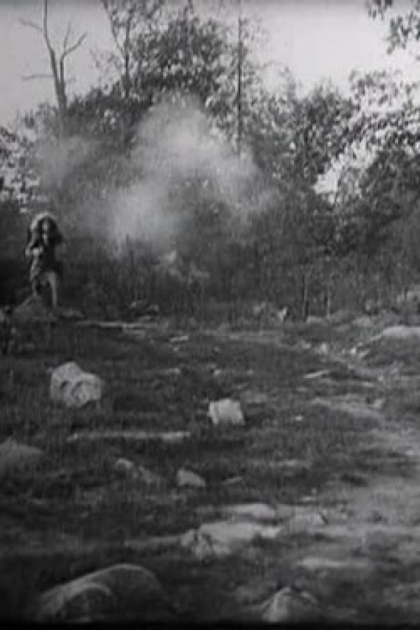 White Fawn's Devotion