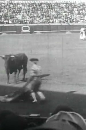 Spanish Bullfight
