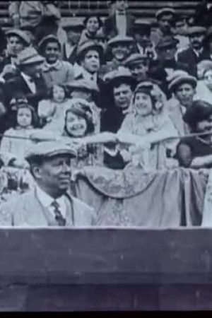 La barrera nº 13